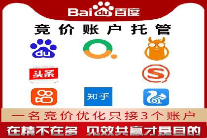 百度竞价托管运营助力电商转化案例