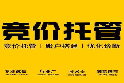 推广竞价案例分析：揭秘高转化率背后的秘密
